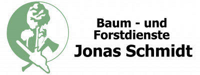 Logo_Jonas-Schmidt-grün_Zeichenfläche 1